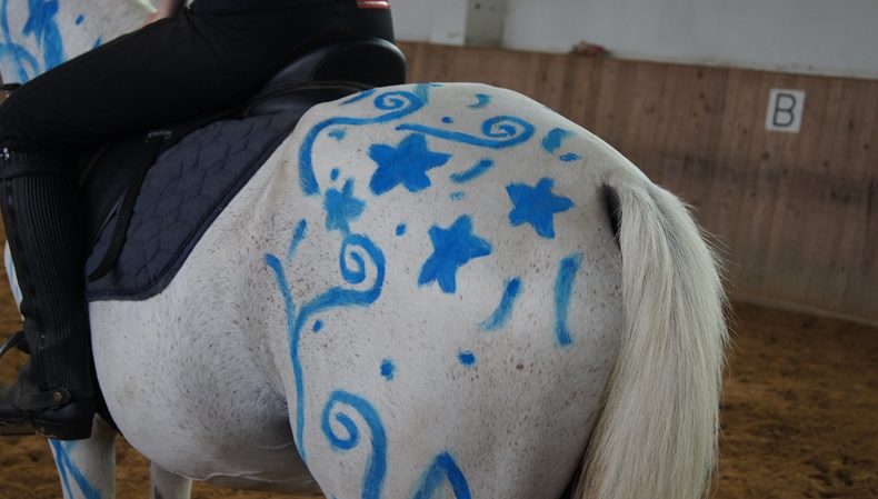 gutschein pony erlebnis tag reiten